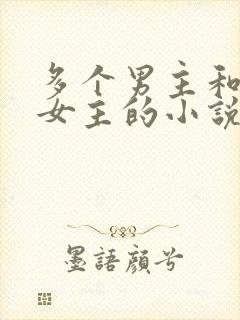 多个男主和一个女主的小说