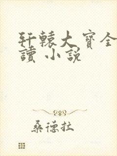 轩辕大宝全文阅读 小说
