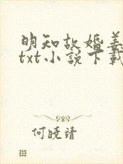 明知故婚姜之鱼txt小说下载