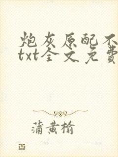 炮灰原配不好当txt全文免费阅读小说