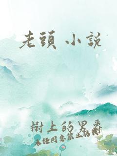 老头 小说