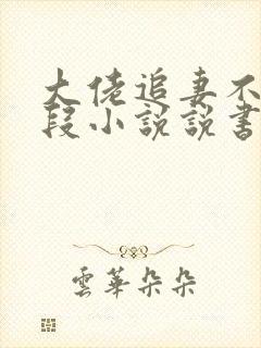 大佬追妻不择手段小说说书