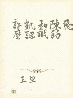 许凯和陈飞宇怎么认识的