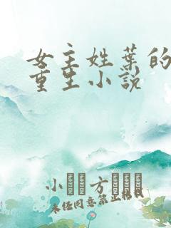 女主姓叶的军旅重生小说