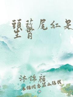 头蓝尾红是什么生肖