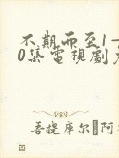 不期而至1—40集电视剧免费观看在线