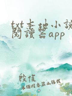 txt本地小说阅读器app