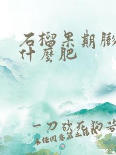 石榴果期膨大用什么肥