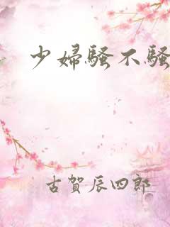 少妇骚不骚