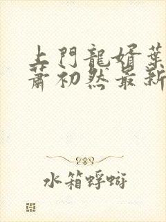 上门龙婿叶辰,萧初然最新版