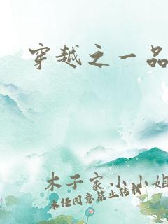 穿越之一品仙师