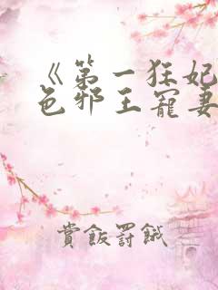《第一狂妃:绝色邪王宠妻无度》