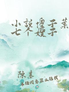 小说傻子叶凡和七个嫂子
