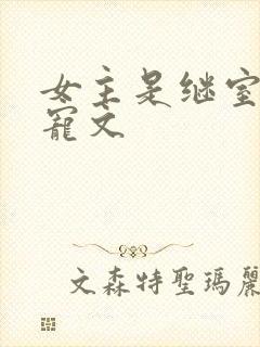 女主是继室填房宠文
