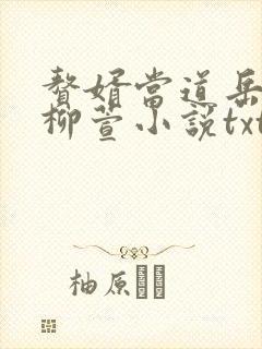 赘婿当道岳风,柳萱小说txt免费下载