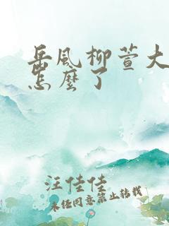 岳风柳萱大结局怎么了
