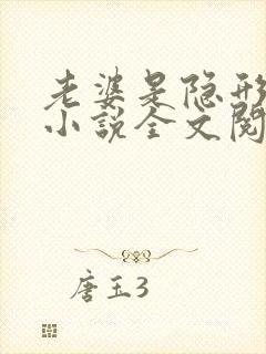老婆是隐形大佬小说全文阅读免费大佬