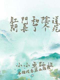 肛门和阴道口中间长了个疙瘩很疼
