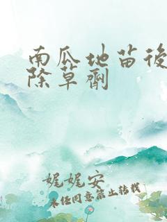 南瓜地苗后专用除草剂