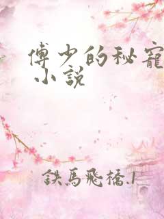 傅少的秘宠娇妻 小说