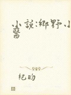 小说:乡野小村医