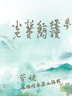 小说红楼梦原著免费阅读