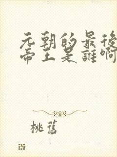 元朝的最后一个帝王是谁啊