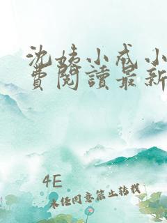 沈姨小成小说免费阅读最新章节更新