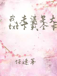 我老婆是大明星txt下载全本