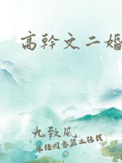 高干文二婚