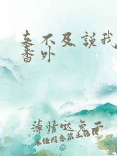 来不及说我爱你番外
