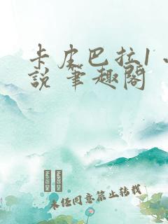 卡皮巴拉1 小说 笔趣阁