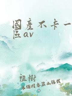 国产不卡一区二区av