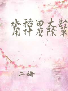 水稻田大龄稗草用什么除草剂最好