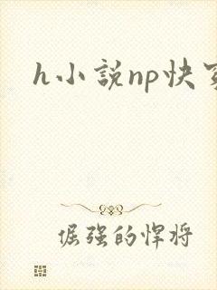 h小说np快穿