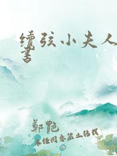续弦小夫人电子书