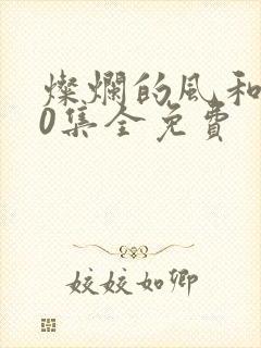 灿烂的风和海40集全免费