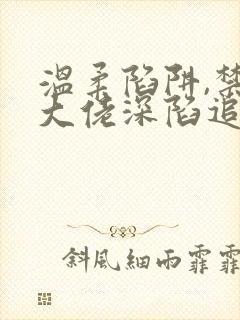 温柔陷阱,禁欲大佬深陷追妻小说