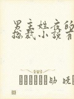 男主姓夜的霸道总裁小说有