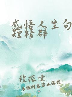 感悟人生句子简短精辟