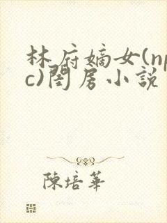 林府嫡女(npc)闺房小说