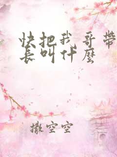 快把我哥带走班长叫什么