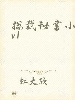 总裁秘书小说1v1
