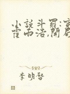 小说斗罗:穿越霍雨浩,开局拜师药老大结局
