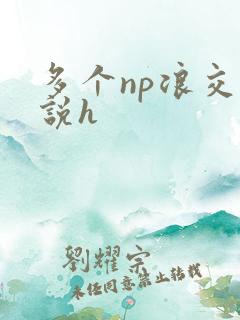 多个np浪交小说h
