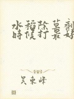 水稻除草剂什么时候打最好 水稻除草剂什么时候打最好