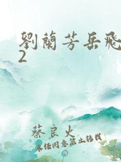 刘兰芳岳飞传12