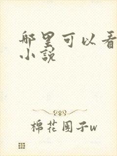 哪里可以看短篇小说