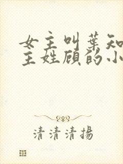 女主叫叶知秋男主姓顾的小说