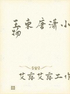 王东唐潇小说人物